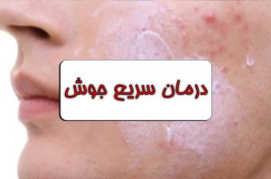 باغ تالارهای احمد آباد مستوفی