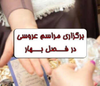 قالب تصویرشاخص